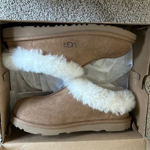 Chestnut Ugg slippers